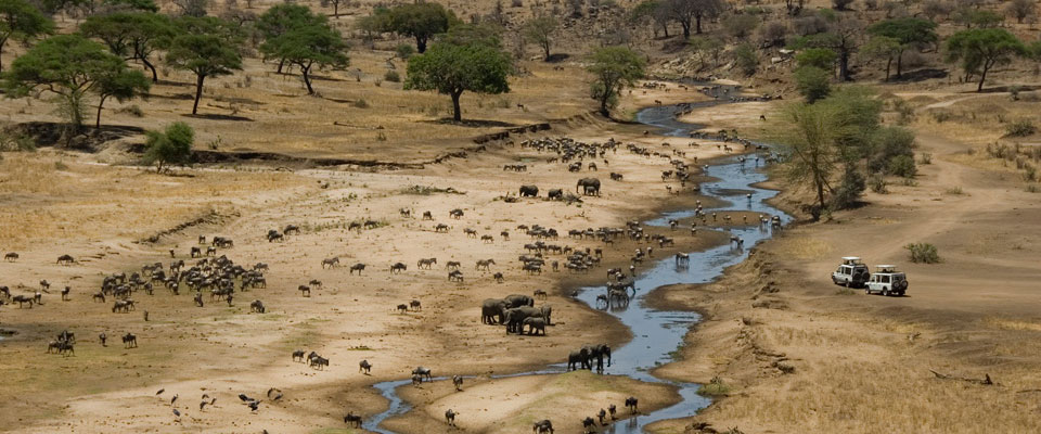 Active Tanzania Safaris