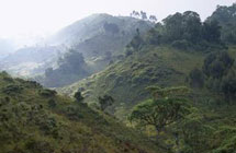 Kitulo Plateau National Park