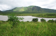 Mkomazi Game Reserve