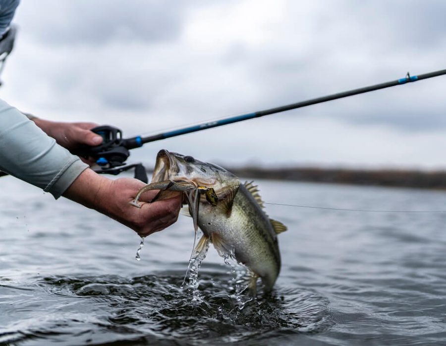 14 Days Active Safari fishing
