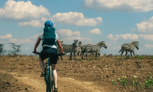 14 Days Active Safari