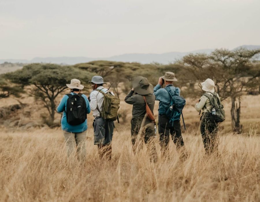 14 Days Active Safari2