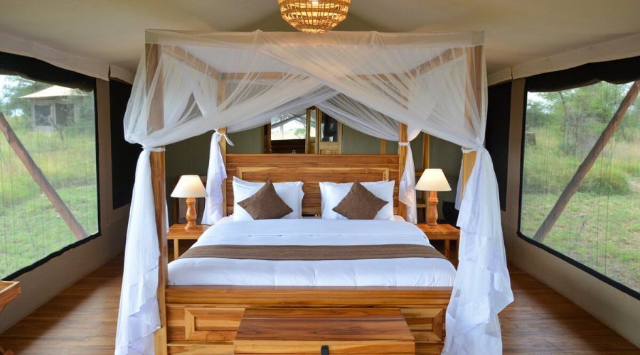 14 Days Active accommodation