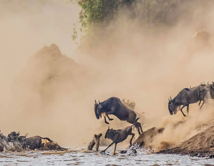 5 Days Safari, Discovering the Famous North of Tanzania2