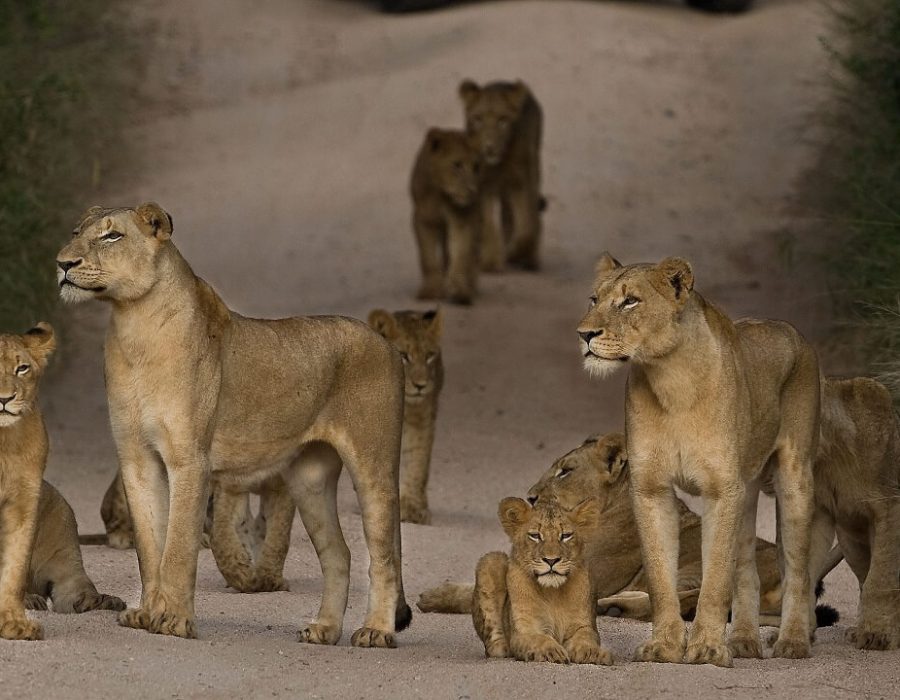 5 Days in Tanzania's Wild South 1