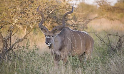 5 Days in Tanzania's Wild South 2