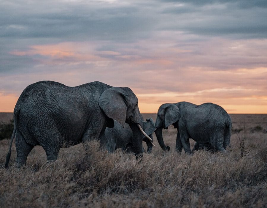 5 Days in Tanzania's Wild South 3