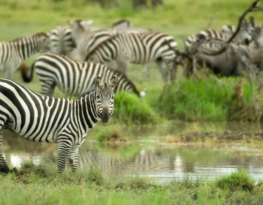 5 Days in Tanzania's Wild South 5
