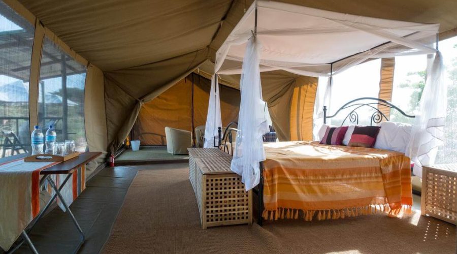 6 Days Safari, Exploring the Famous North of Tanzania Accommodation