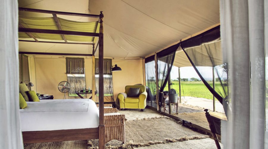 6 Days Safari, Exploring the Famous North of Tanzania Accommodation1