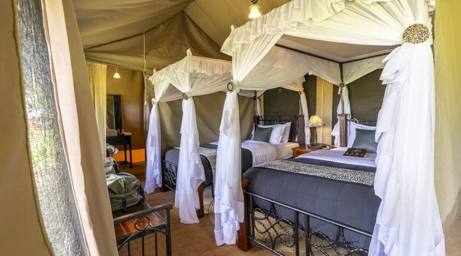 6 Days Safari, Exploring the Famous North of Tanzania Accommodation4