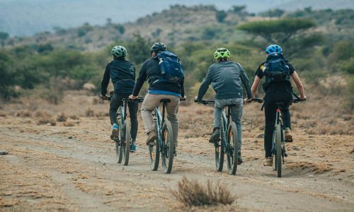 8 Days Wildlife & Cycling Safari