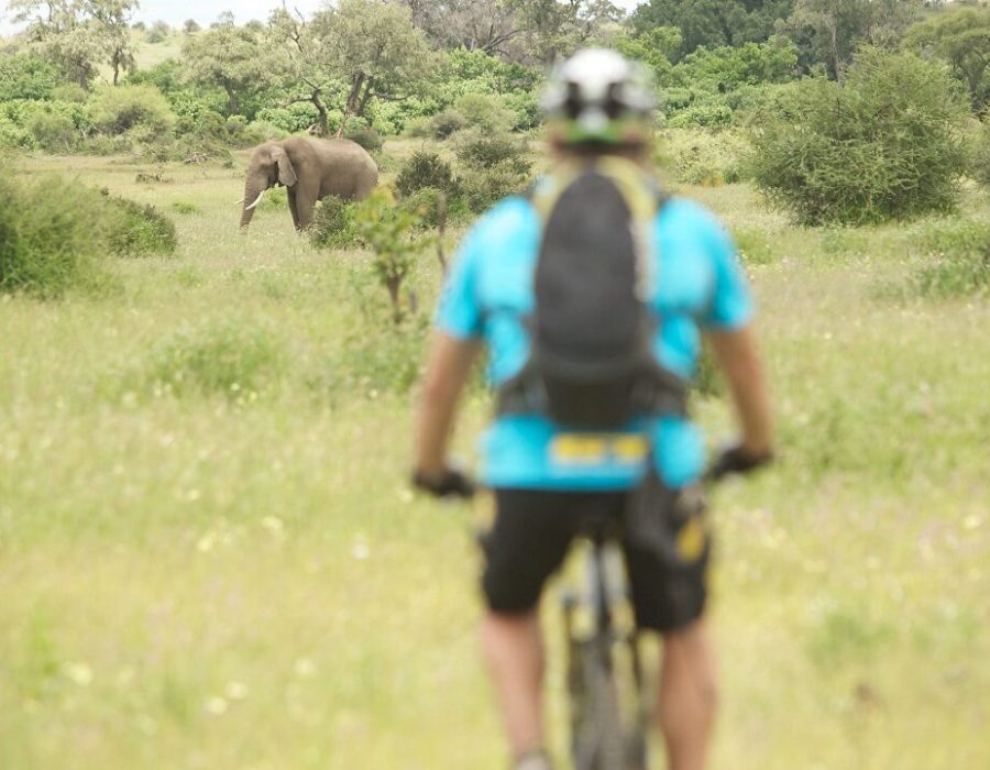8 Days Wildlife & Cycling Safari1