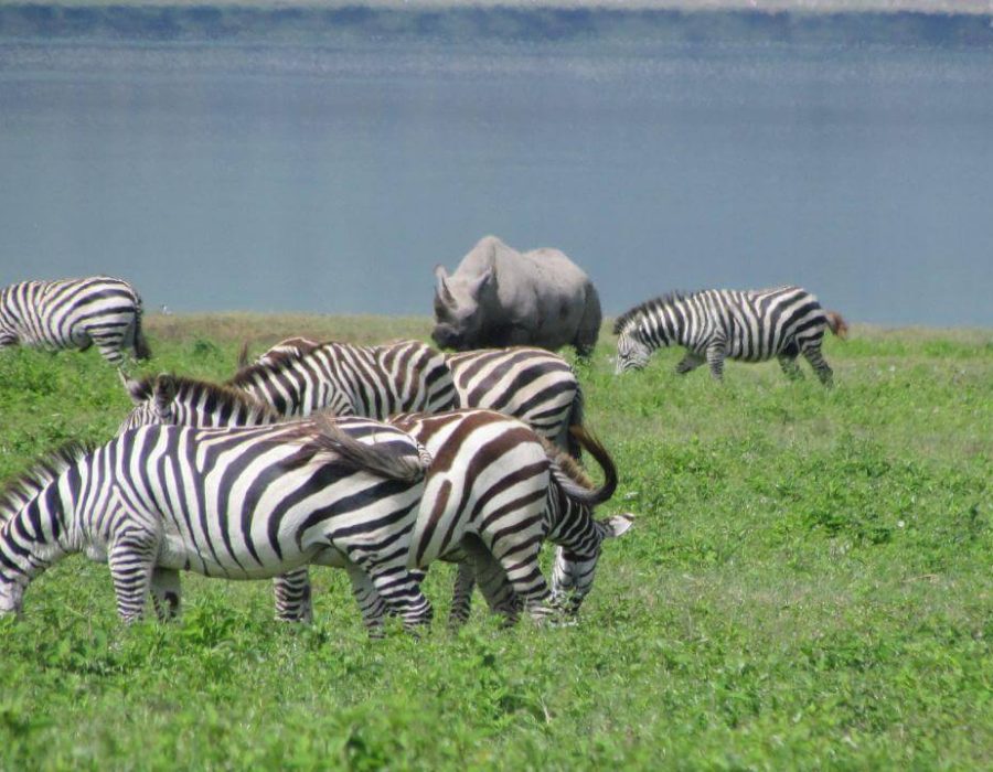 8 Days Wildlife & Cycling Safari3