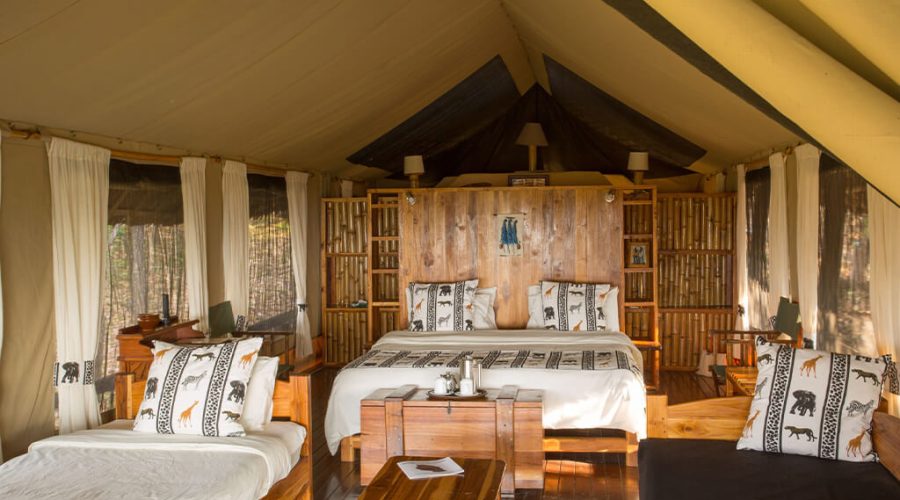 Accommodation on the southern park