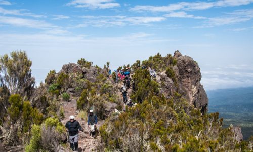 Group moving above the clouds on the ridge leading to Shira camp