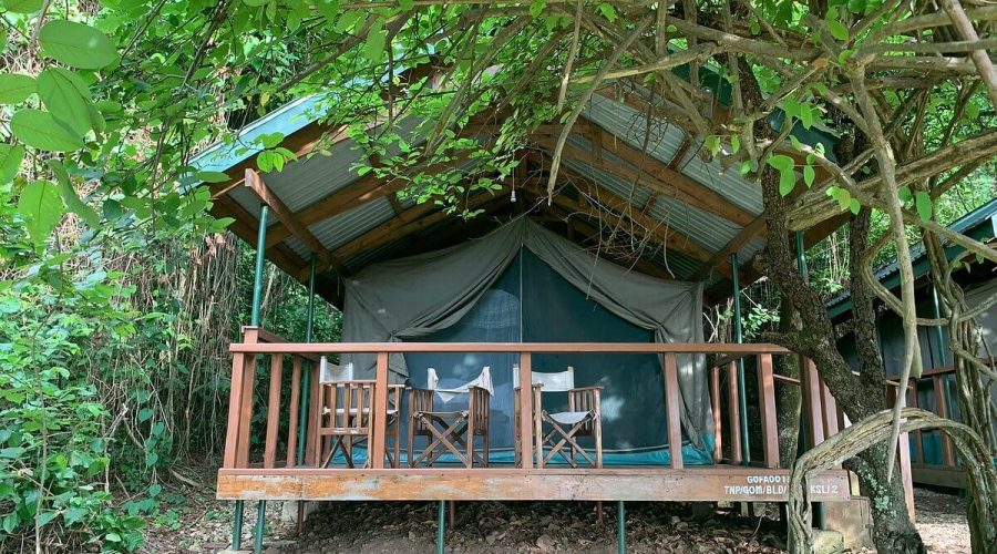 Gombe stream accommodation2