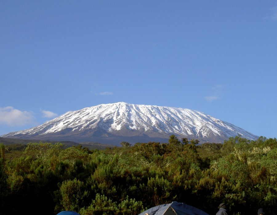 MACHAME 8 B