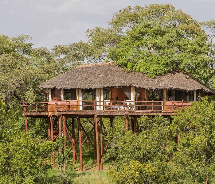 Tree Houses 1