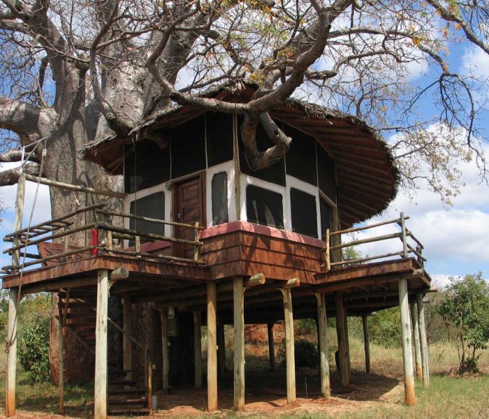 Tarangire Treetops © Foto: Svenja Penzel | Outback Africa Erlebnisreisen