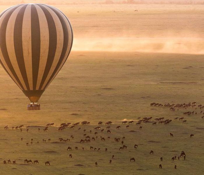 baloon safari