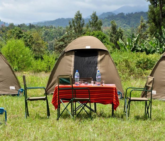 basic camp 2