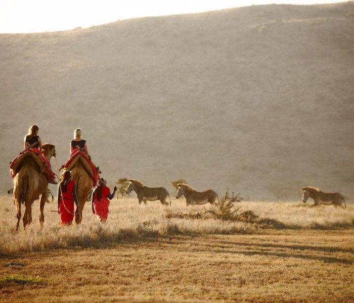 camel ride 01