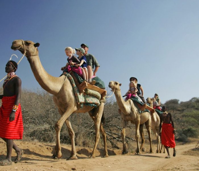 camel riding
