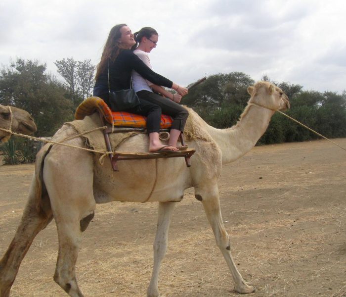 camel tz