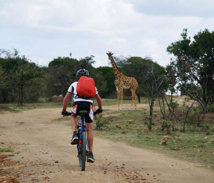 cycling 2