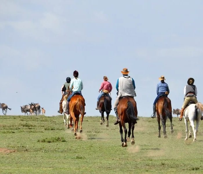 horse riding 41
