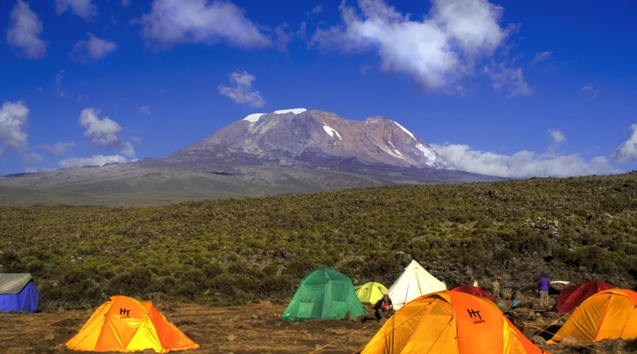 machame b 1