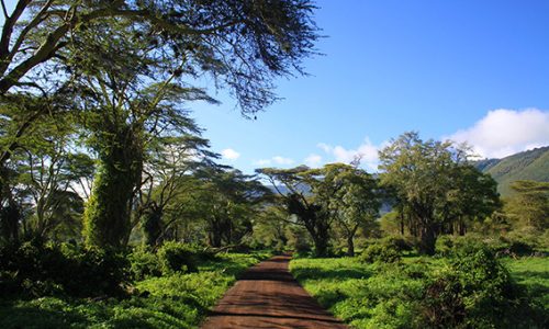 ngoro_IMG_9270