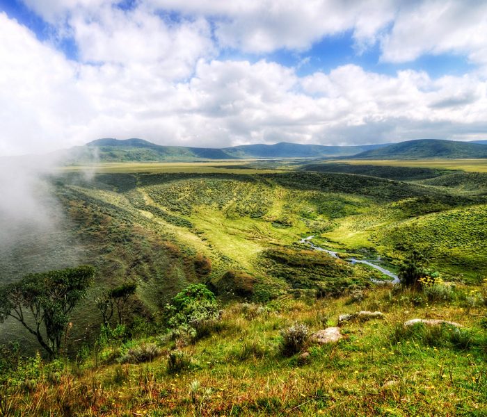 ngorongoro high
