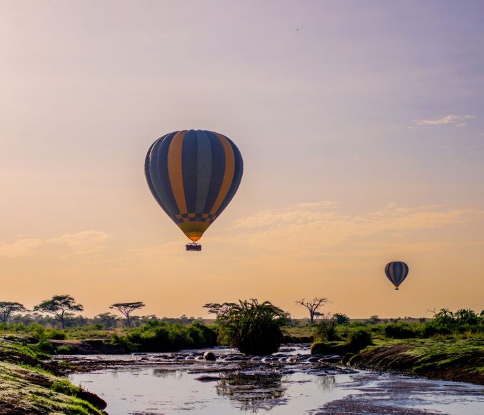 serengeti balloon3