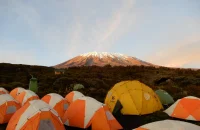 simba camp