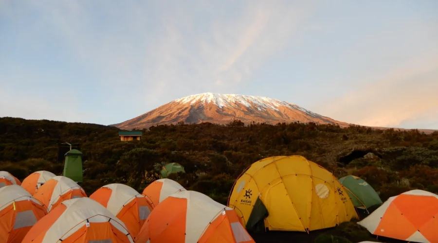 simba camp