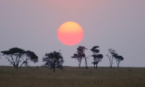 sunset-serengeti