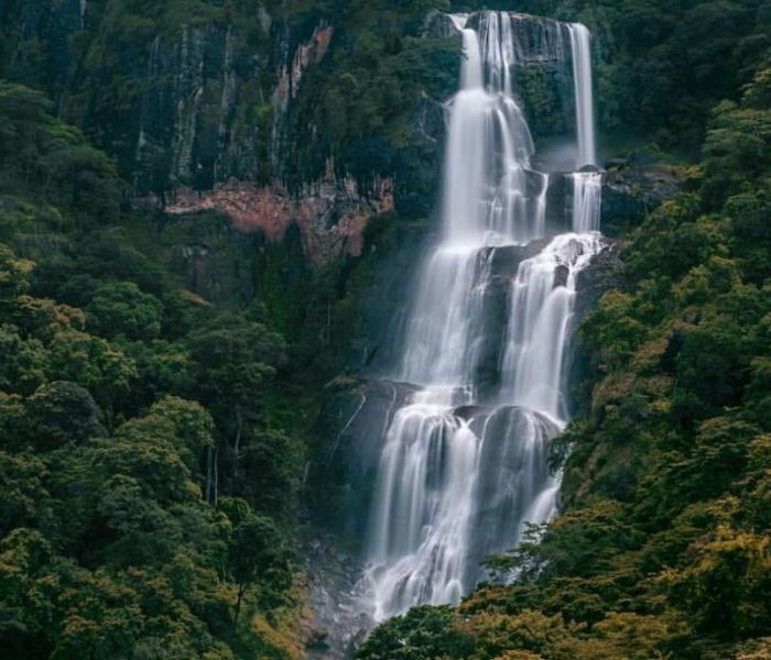 udzungwa 2