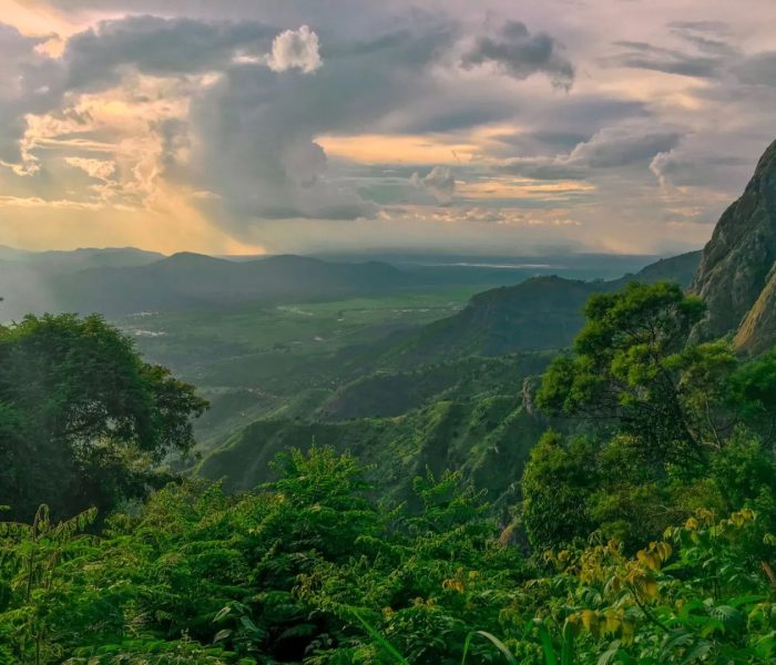 usambara 2